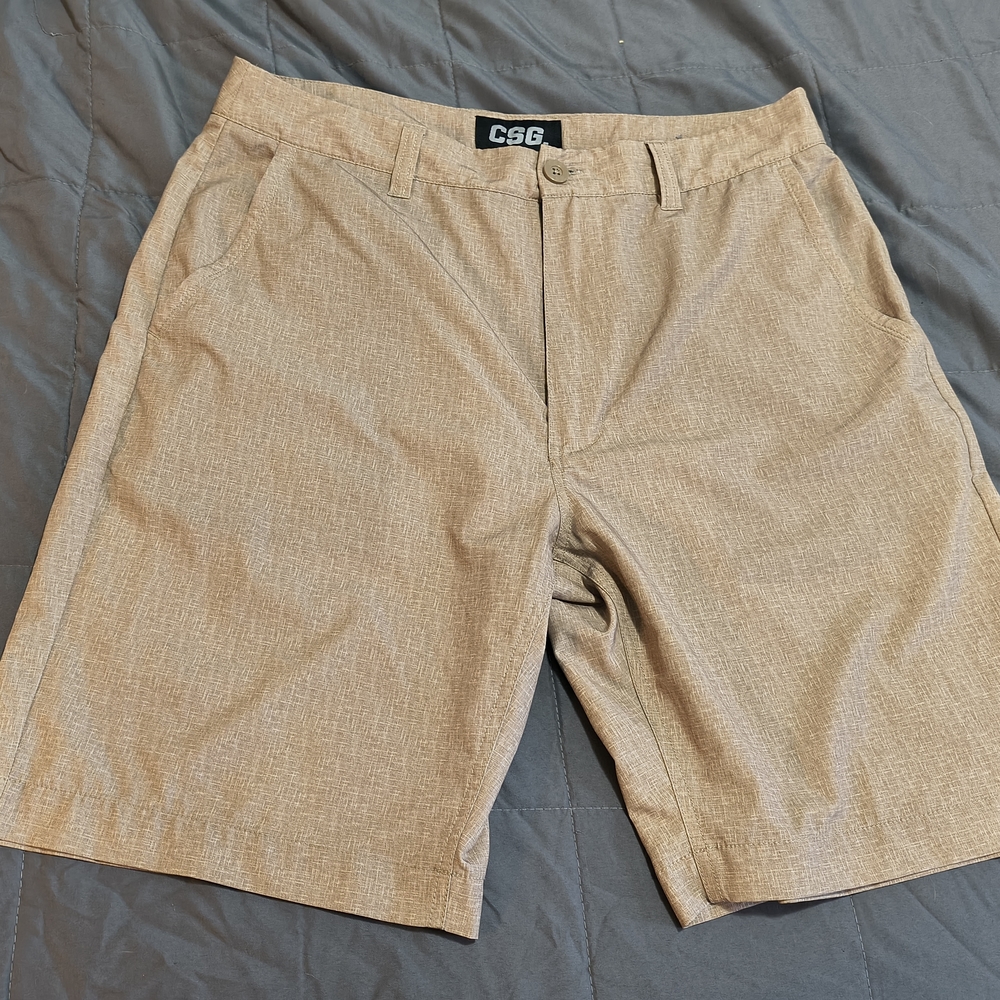 CSG Men's Beige Flat Front Shorts